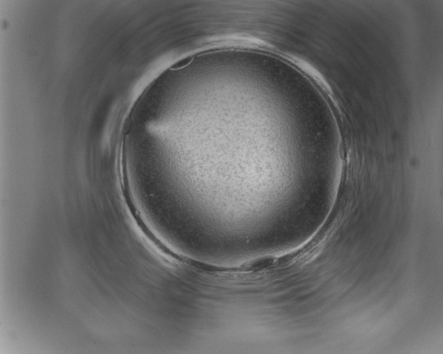 X0000065971391200603061138