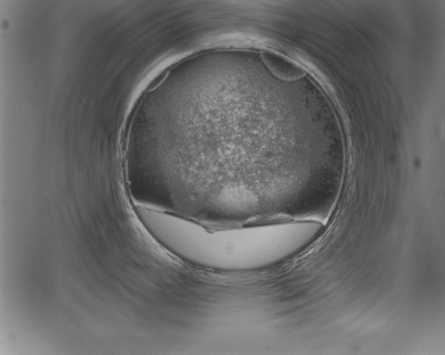 X0000065971392200603061138