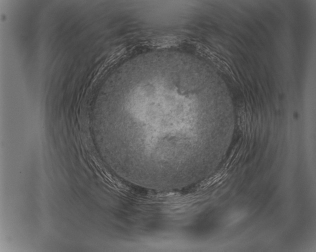 X0000065971393200603061138