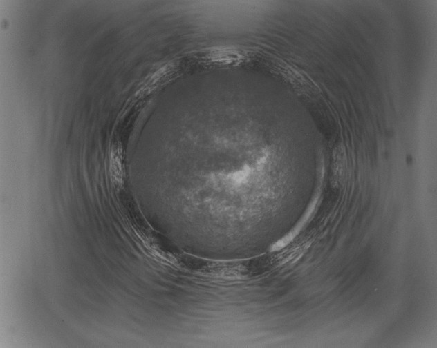 X0000065971394200603061138