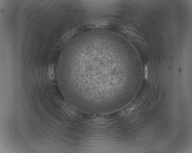 X0000065971395200603061138