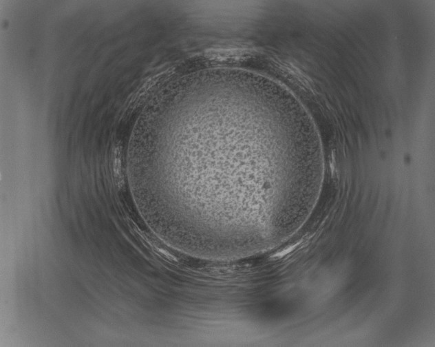 X0000065971396200603061138