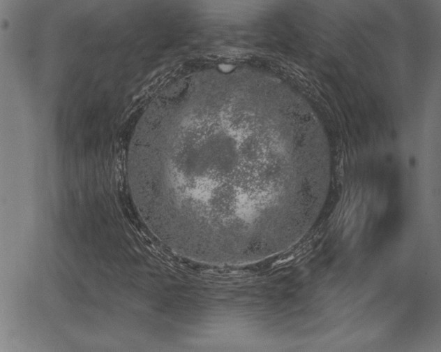 X0000065971397200603061138