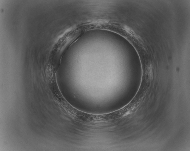 X0000065971398200603061138