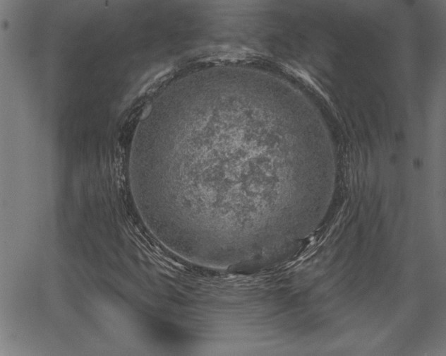 X0000065971399200603061138