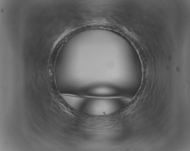 X0000065971400200603061138