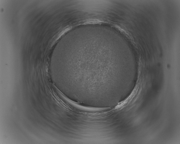 X0000065971401200603061138