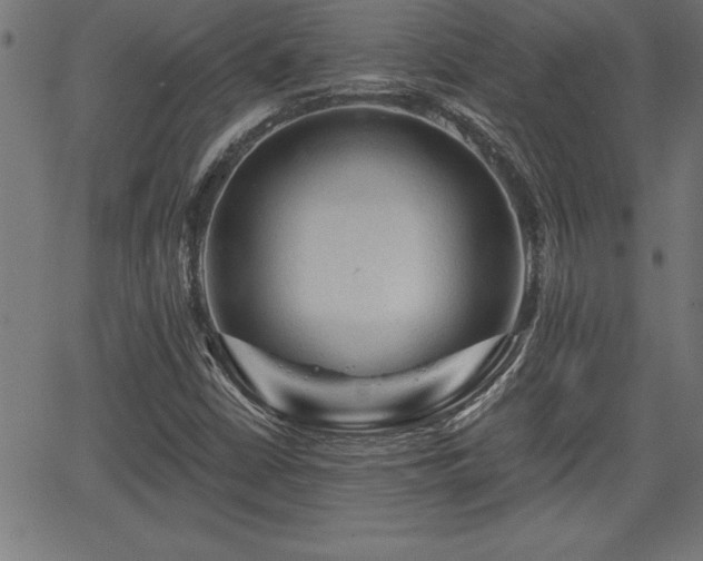 X0000065971402200603061138