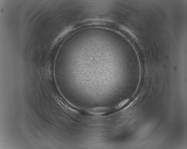 X0000065971403200603061138