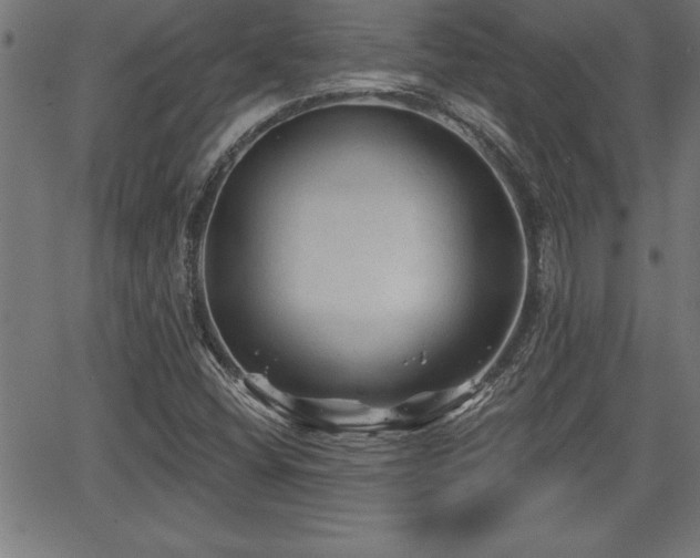 X0000065971404200603061138