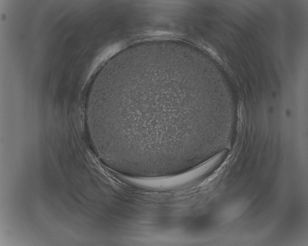 X0000065971405200603061138