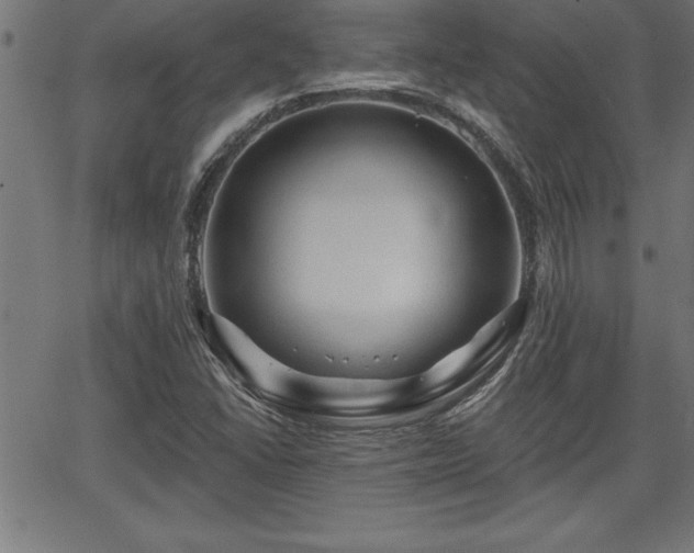 X0000065971406200603061138