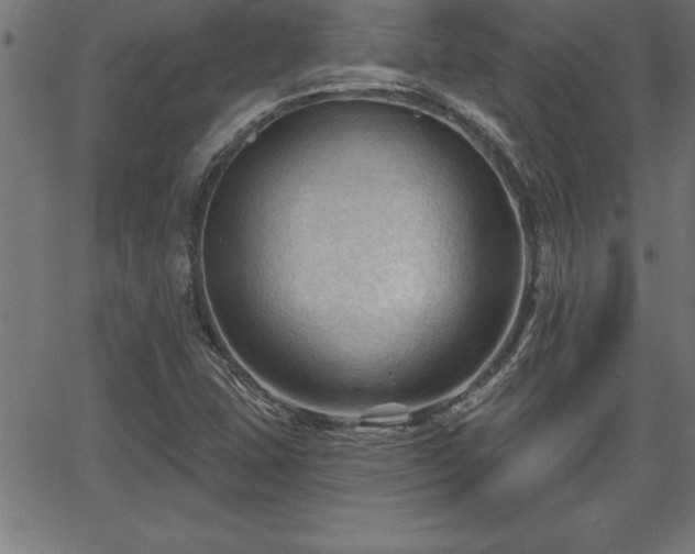 X0000065971407200603061138