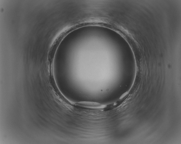 X0000065971408200603061138