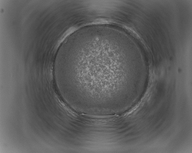 X0000065971409200603061138