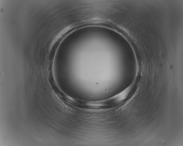 X0000065971410200603061138