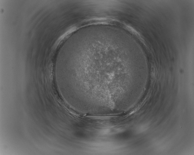 X0000065971411200603061138