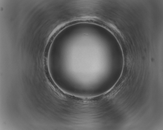 X0000065971412200603061138