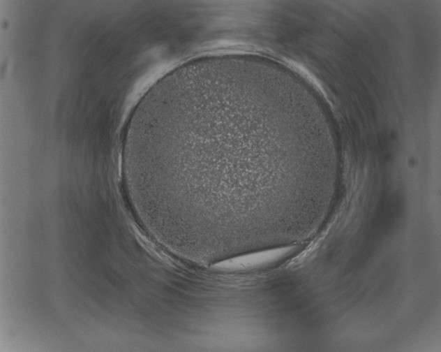 X0000065971413200603061138