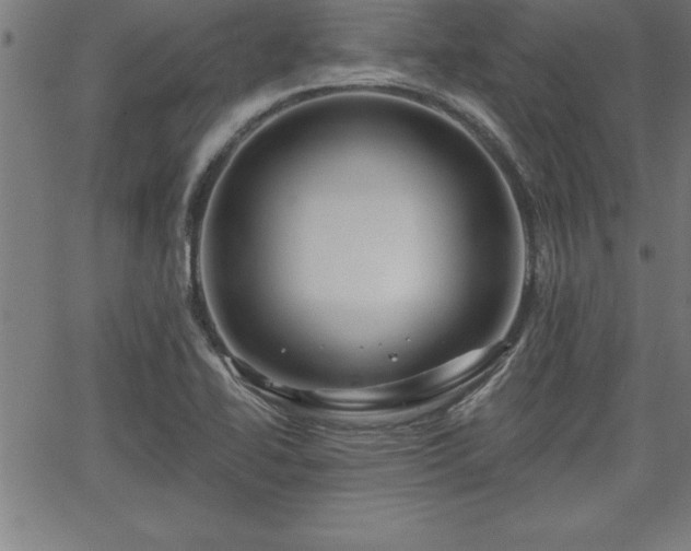 X0000065971414200603061138