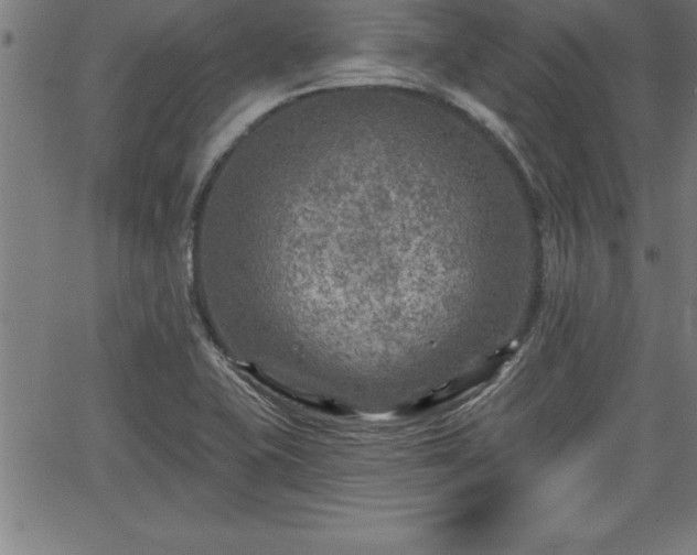 X0000065971415200603061138