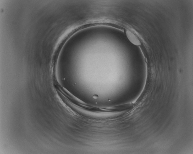 X0000065971416200603061138