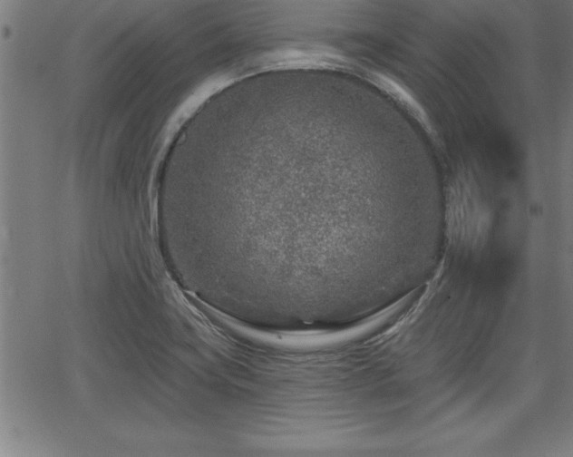 X0000065971419200603061138