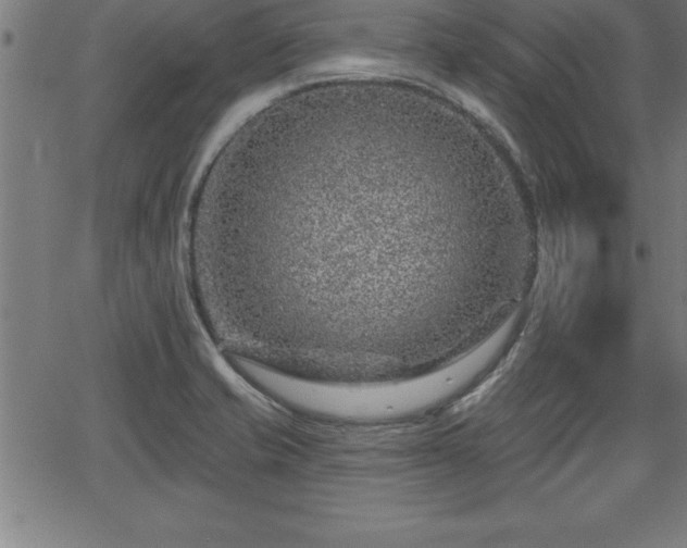 X0000065971421200603061138