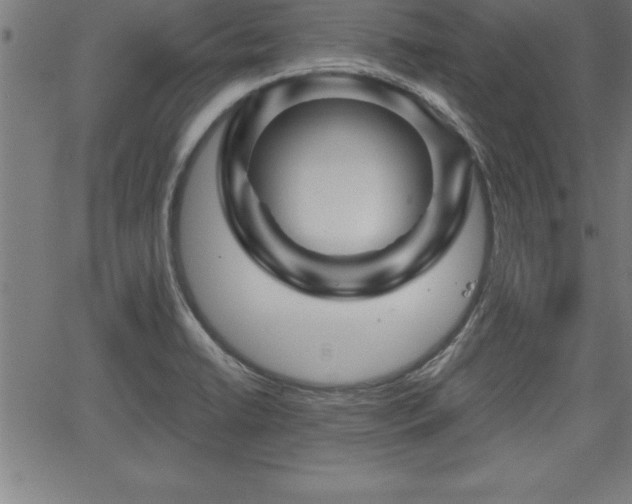 X0000065971422200603061138