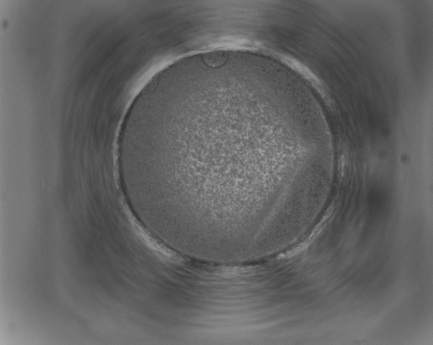 X0000065971423200603061138