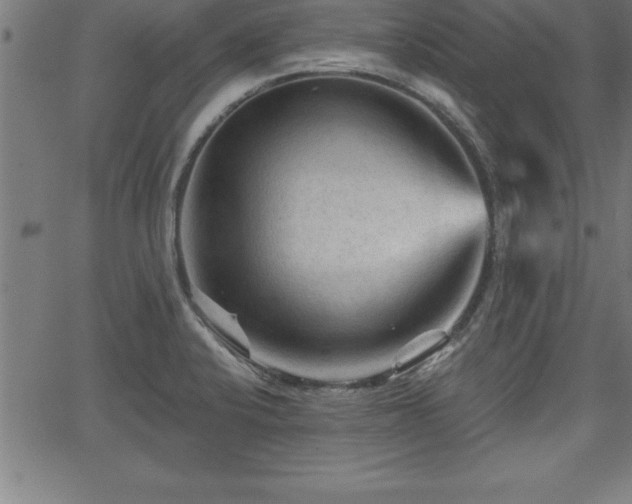 X0000065971424200603061138