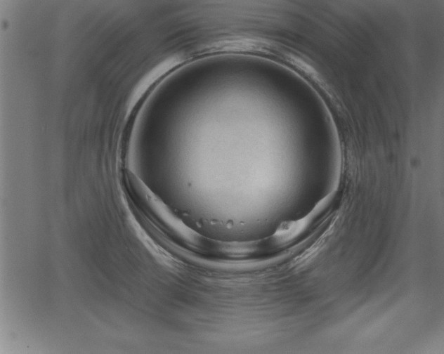 X0000065971426200603061138