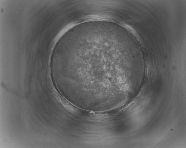 X0000065971427200603061138