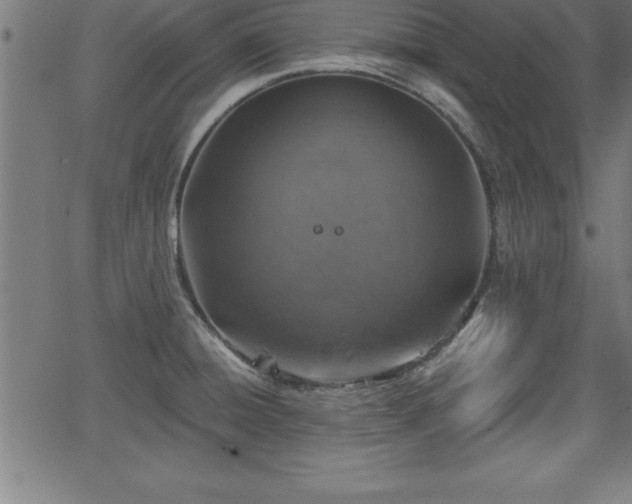 X0000065971428200603061138