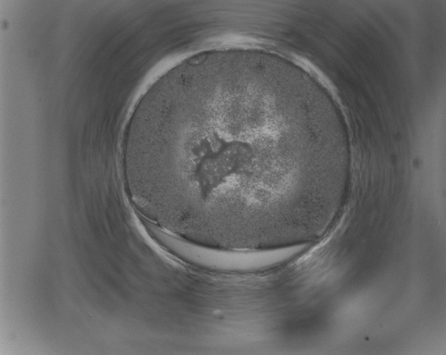 X0000065971429200603061138