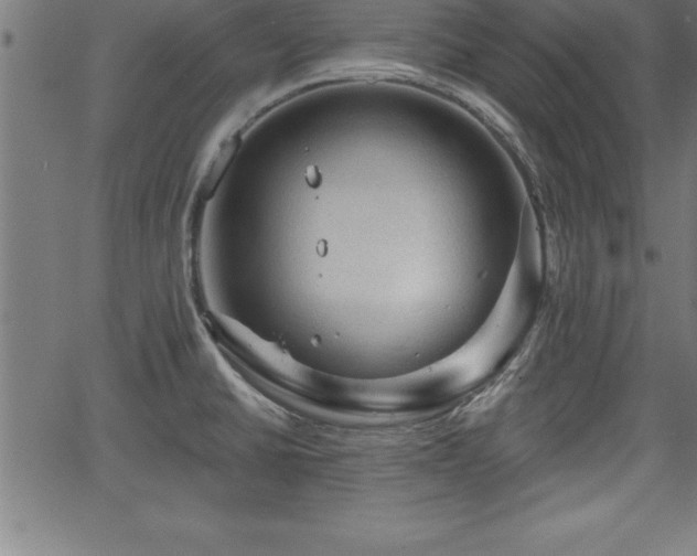 X0000065971430200603061138