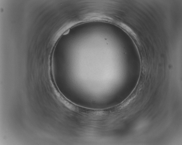 X0000065971431200603061138