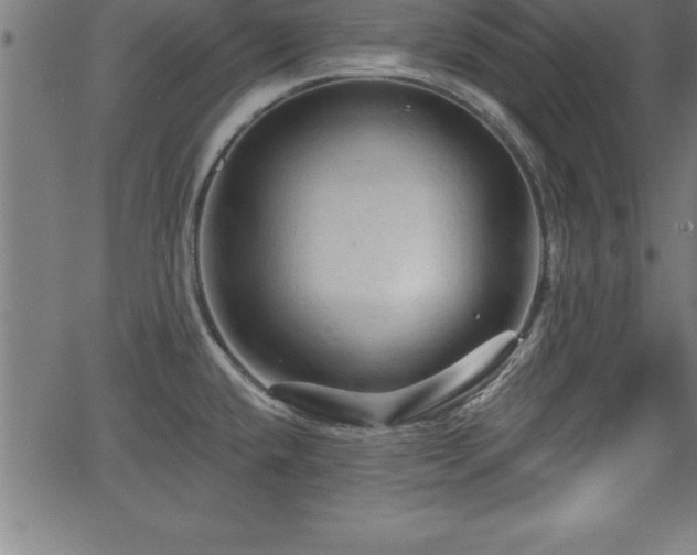 X0000065971432200603061138