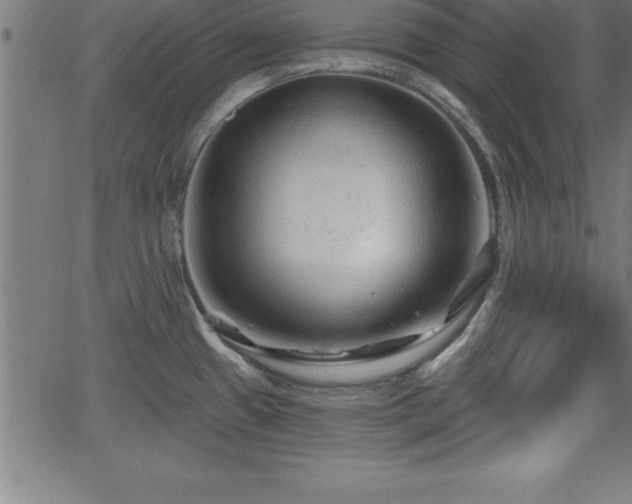 X0000065971433200603061138