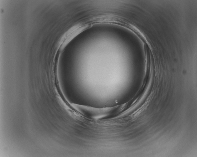 X0000065971434200603061138