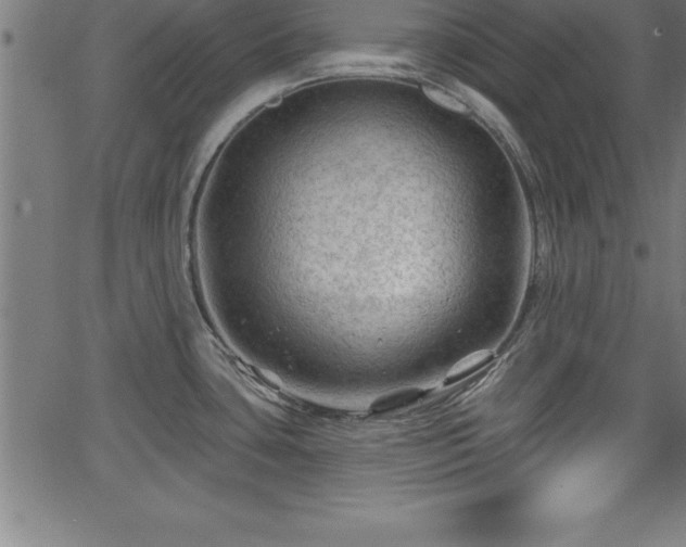 X0000065971435200603061138