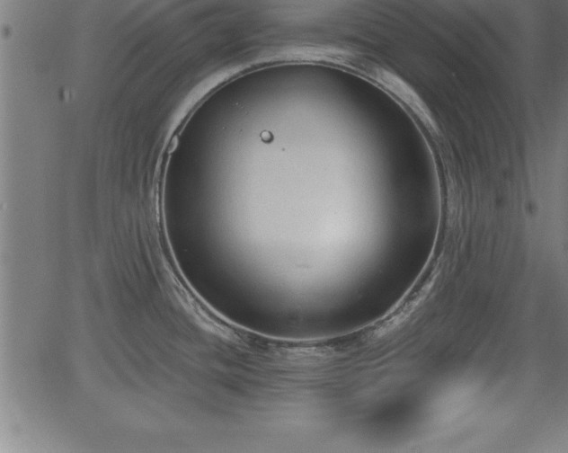 X0000065971436200603061138