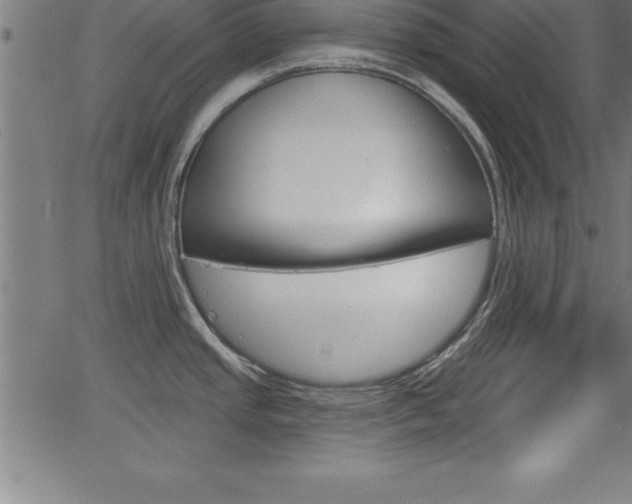 X0000065971437200603061138