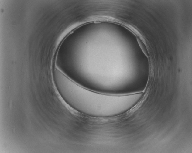 X0000065971438200603061138