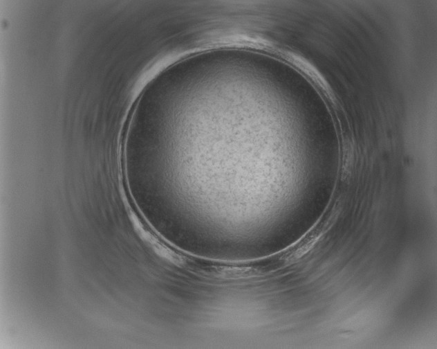 X0000065971439200603061138