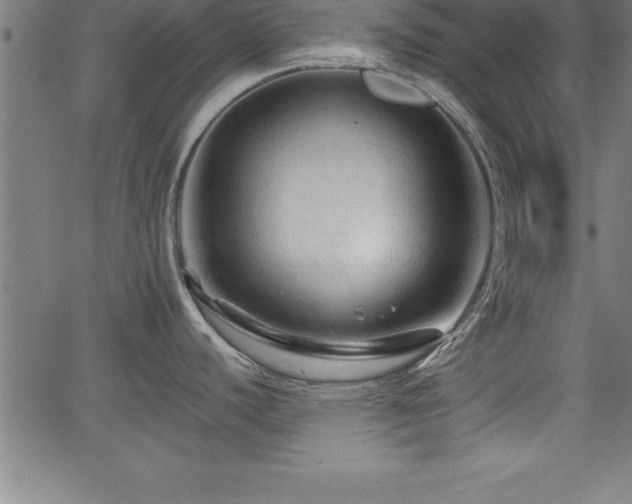 X0000065971440200603061138