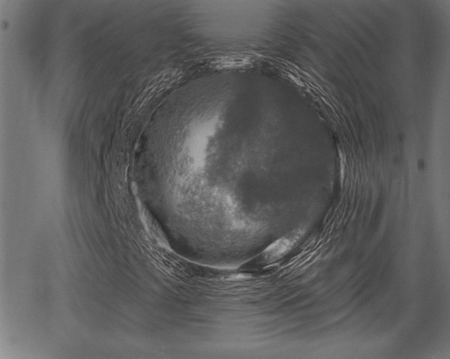 X0000065971441200603061138