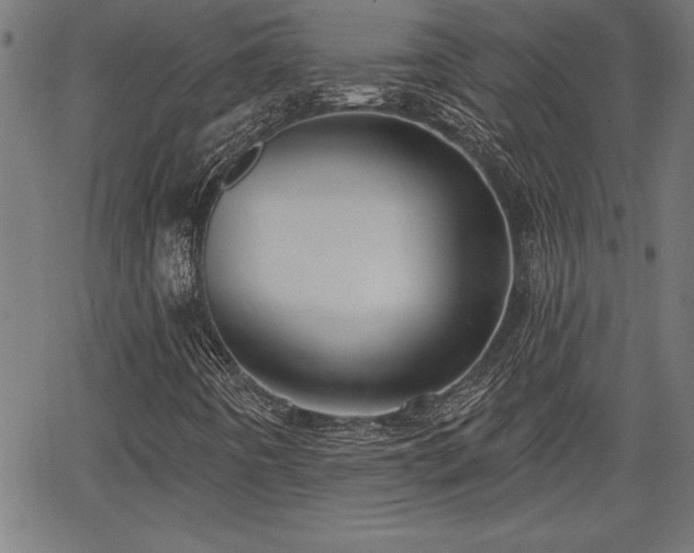 X0000065971442200603061137