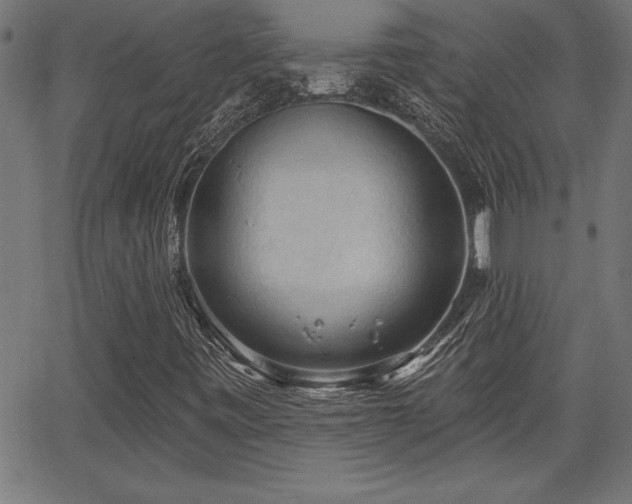 X0000065971443200603061137