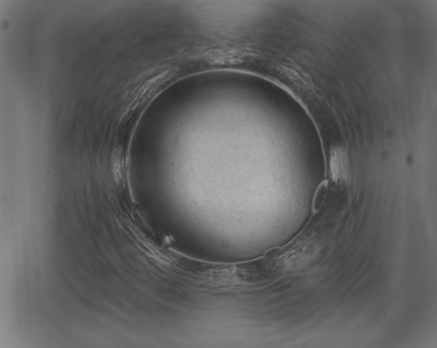 X0000065971444200603061137